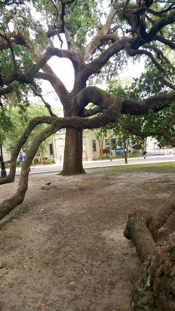 Coliseum Square Park